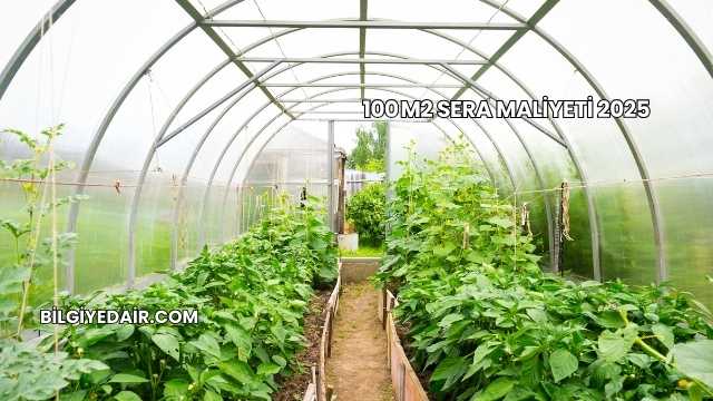 100 m2 Sera Maliyeti 2025